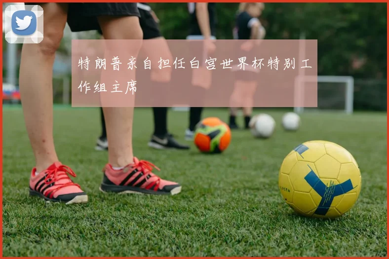 特朗普亲自担任白宫世界杯特别工作组主席