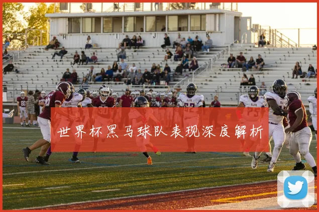世界杯黑马球队表现深度解析