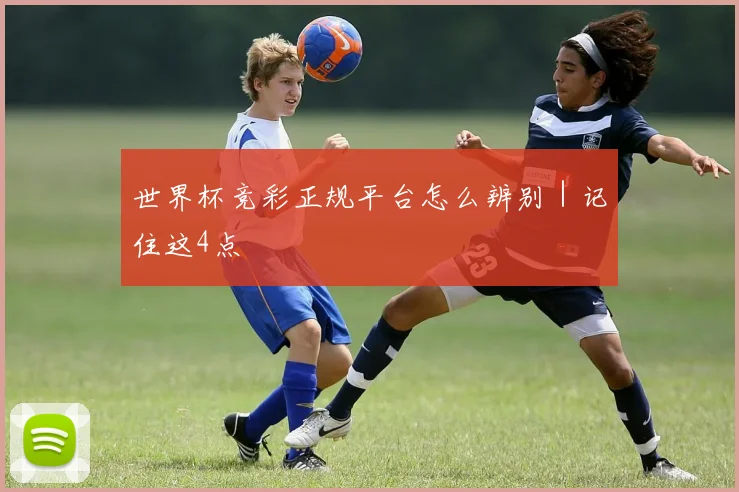 世界杯竞彩正规平台怎么辨别｜记住这4点